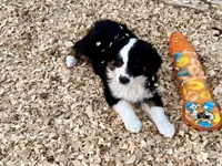 processed/e0fa93bb-9fd6-46c6-ba95-a992959405c6/listing/483f0bc4-85f2-4caf-851e-071026473f19/7cabc653-a6ab-4138-b69c-4ad6aff63f43