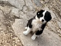 processed/e0fa93bb-9fd6-46c6-ba95-a992959405c6/listing/483f0bc4-85f2-4caf-851e-071026473f19/8e652772-1f24-4095-bb6b-d4cb937dfca9