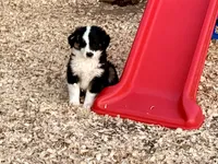 processed/e0fa93bb-9fd6-46c6-ba95-a992959405c6/listing/483f0bc4-85f2-4caf-851e-071026473f19/b5b658ce-7ed8-45d0-9467-09145ce6cf59