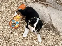 processed/e0fa93bb-9fd6-46c6-ba95-a992959405c6/listing/483f0bc4-85f2-4caf-851e-071026473f19/c2c0732b-001c-4dfc-8d97-7e61d50ebcc6