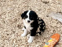 processed/e0fa93bb-9fd6-46c6-ba95-a992959405c6/listing/483f0bc4-85f2-4caf-851e-071026473f19/e7659062-5655-4f55-8c08-ec5ea233494b