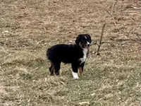 processed/e0fa93bb-9fd6-46c6-ba95-a992959405c6/listing/c64b6ead-4f65-44f5-95b4-b41c0f591f34/04f4b6f9-6a19-46e3-94eb-ad92000280c3