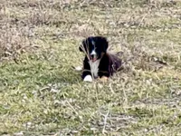 processed/e0fa93bb-9fd6-46c6-ba95-a992959405c6/listing/c64b6ead-4f65-44f5-95b4-b41c0f591f34/0908fb8e-c915-452e-8753-4e13f210042e