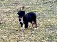 processed/e0fa93bb-9fd6-46c6-ba95-a992959405c6/listing/c64b6ead-4f65-44f5-95b4-b41c0f591f34/154cef7b-e5f0-4bdd-ada1-5478fd23893f