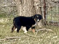 processed/e0fa93bb-9fd6-46c6-ba95-a992959405c6/listing/c64b6ead-4f65-44f5-95b4-b41c0f591f34/3b2c6e93-9dcd-4f27-a8b5-9e7bb07d86a1