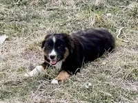 processed/e0fa93bb-9fd6-46c6-ba95-a992959405c6/listing/c64b6ead-4f65-44f5-95b4-b41c0f591f34/5b6b8d7f-7294-411f-9352-d38fadbb4250