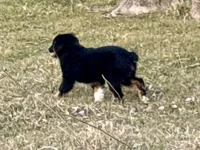 processed/e0fa93bb-9fd6-46c6-ba95-a992959405c6/listing/c64b6ead-4f65-44f5-95b4-b41c0f591f34/632a0d8e-f689-4f87-9a80-bf5d7c2c6ed8