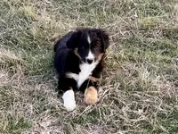 processed/e0fa93bb-9fd6-46c6-ba95-a992959405c6/listing/c64b6ead-4f65-44f5-95b4-b41c0f591f34/c8a839d6-f38c-471c-af8b-bab2fe3d179a