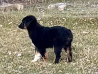 processed/e0fa93bb-9fd6-46c6-ba95-a992959405c6/listing/c64b6ead-4f65-44f5-95b4-b41c0f591f34/d63feaba-de95-4d94-9db9-6ffe5e0b24c6