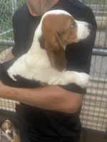 processed/e0feec34-9723-45dc-8800-f69c831b9fef/listing/236b63f1-f253-40b2-b6d1-894fa99ea85f/26e4c919-cbbd-432f-8a8d-df2b97956a3e