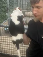 processed/e0feec34-9723-45dc-8800-f69c831b9fef/listing/236b63f1-f253-40b2-b6d1-894fa99ea85f/d5e7c99d-0829-4aa4-a573-899a8a60f117