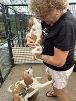 processed/e0feec34-9723-45dc-8800-f69c831b9fef/listing/7f009b86-0c99-461f-aeff-e0b219095740/4c911577-72e4-4217-a300-106ca7695490