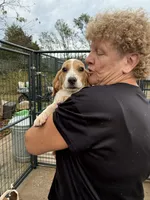 processed/e0feec34-9723-45dc-8800-f69c831b9fef/listing/7f009b86-0c99-461f-aeff-e0b219095740/be52bf7e-fdf1-4465-9e1a-4179c4cd3819