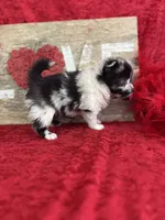 processed/e0ff8aa8-9ff9-459b-bd91-856c3933b278/listing/09541cbf-4a86-4c0f-ada1-89f9147e946d/089f163c-0721-4c4c-a998-796a226a03dc