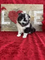 processed/e0ff8aa8-9ff9-459b-bd91-856c3933b278/listing/09541cbf-4a86-4c0f-ada1-89f9147e946d/c4f1006b-0d03-442d-bb3b-d194f485f52a