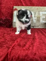 processed/e0ff8aa8-9ff9-459b-bd91-856c3933b278/listing/09541cbf-4a86-4c0f-ada1-89f9147e946d/d5caf8a3-b1be-4b03-a20f-c8c8ccbf03b1