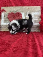 processed/e0ff8aa8-9ff9-459b-bd91-856c3933b278/listing/09541cbf-4a86-4c0f-ada1-89f9147e946d/e63503fb-4cb7-44b8-b0d5-95d1168b10b2