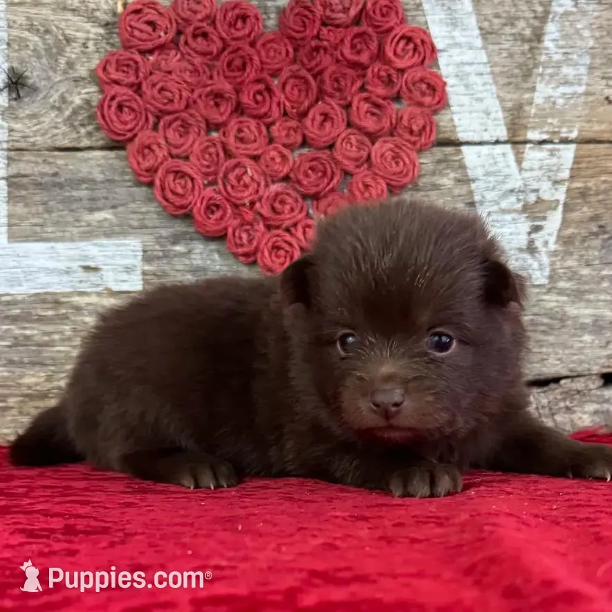 processed/e0ff8aa8-9ff9-459b-bd91-856c3933b278/listing/4e5ebe75-9ae4-4d5d-bbd9-5e714508e38e/213c6009-7325-481d-bced-074af5f1363d