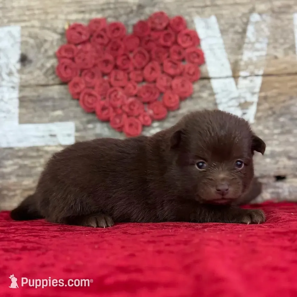 processed/e0ff8aa8-9ff9-459b-bd91-856c3933b278/listing/4e5ebe75-9ae4-4d5d-bbd9-5e714508e38e/71a3f6ff-3308-4d90-bce5-0458a4f0c51a