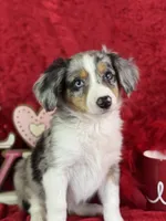 processed/e0ff8aa8-9ff9-459b-bd91-856c3933b278/listing/56e34891-810e-4313-b442-610873761793/09d5149c-24ec-4b62-889b-f0996814df18