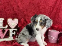 processed/e0ff8aa8-9ff9-459b-bd91-856c3933b278/listing/56e34891-810e-4313-b442-610873761793/78ad0eca-dd5f-4fdd-9660-75d300b7521c