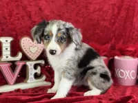 processed/e0ff8aa8-9ff9-459b-bd91-856c3933b278/listing/56e34891-810e-4313-b442-610873761793/80725d8c-663f-49f1-9f46-825596a15e4a