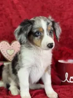 processed/e0ff8aa8-9ff9-459b-bd91-856c3933b278/listing/56e34891-810e-4313-b442-610873761793/ab306c48-7d08-4483-9921-d636e2d21f6d