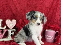 processed/e0ff8aa8-9ff9-459b-bd91-856c3933b278/listing/56e34891-810e-4313-b442-610873761793/b7460265-4072-4c7b-9535-c8de0343c7ba