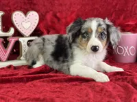 processed/e0ff8aa8-9ff9-459b-bd91-856c3933b278/listing/56e34891-810e-4313-b442-610873761793/d76c6a61-0ebb-46f9-98b1-19f3b89f5371