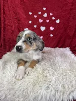 processed/e0ff8aa8-9ff9-459b-bd91-856c3933b278/listing/82886d51-0f7b-4a1a-b5c7-767960580328/04548a31-42a3-4db3-ae32-5c4c5c2d5ea2