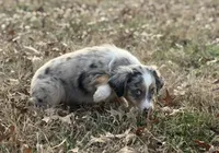 processed/e0ff8aa8-9ff9-459b-bd91-856c3933b278/listing/82886d51-0f7b-4a1a-b5c7-767960580328/3dfaa75f-cbbd-4d38-8549-4b82970f9aca