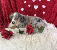 processed/e0ff8aa8-9ff9-459b-bd91-856c3933b278/listing/82886d51-0f7b-4a1a-b5c7-767960580328/6b312422-58b9-4a28-859a-bc2f0f574ed8