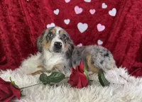 processed/e0ff8aa8-9ff9-459b-bd91-856c3933b278/listing/82886d51-0f7b-4a1a-b5c7-767960580328/d83ef472-4797-4040-a9b9-5c663504bcf2