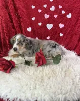 processed/e0ff8aa8-9ff9-459b-bd91-856c3933b278/listing/82886d51-0f7b-4a1a-b5c7-767960580328/fea3de47-7ead-42a5-9e41-d6d66fd9c0f0