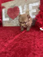 processed/e0ff8aa8-9ff9-459b-bd91-856c3933b278/listing/bf52b145-9331-43da-a1a4-1707712f40e3/06a6c63b-20fd-4f69-8a41-281a9836a0cf