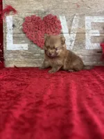 processed/e0ff8aa8-9ff9-459b-bd91-856c3933b278/listing/bf52b145-9331-43da-a1a4-1707712f40e3/a47945b0-9908-427c-baa9-4b78c2146328