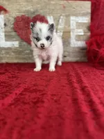 processed/e0ff8aa8-9ff9-459b-bd91-856c3933b278/listing/d71803ec-1986-4aef-9895-6208dc087008/75d992eb-904b-4c57-84cd-770180d19103