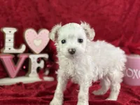 processed/e0ff8aa8-9ff9-459b-bd91-856c3933b278/listing/ff4cb1e6-876c-4694-bdba-8551a524af84/416b8c70-a396-4d59-8ad7-203851f3becf