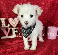 processed/e0ff8aa8-9ff9-459b-bd91-856c3933b278/listing/ff4cb1e6-876c-4694-bdba-8551a524af84/4b1683b6-d1ac-4f16-b43e-1c1afa8ceffb