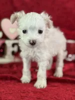 processed/e0ff8aa8-9ff9-459b-bd91-856c3933b278/listing/ff4cb1e6-876c-4694-bdba-8551a524af84/4bd5db2e-36e8-408d-8306-93b4051975ed