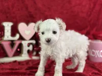 processed/e0ff8aa8-9ff9-459b-bd91-856c3933b278/listing/ff4cb1e6-876c-4694-bdba-8551a524af84/a5bfdfc7-822e-4d26-9d79-f9de64230fd4