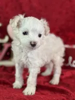 processed/e0ff8aa8-9ff9-459b-bd91-856c3933b278/listing/ff4cb1e6-876c-4694-bdba-8551a524af84/b2069c68-4d65-4a76-97cd-be5eb97921cb