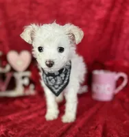 processed/e0ff8aa8-9ff9-459b-bd91-856c3933b278/listing/ff4cb1e6-876c-4694-bdba-8551a524af84/bd43c38f-5191-4dcd-8fb5-a99259ff7f62