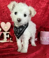 processed/e0ff8aa8-9ff9-459b-bd91-856c3933b278/listing/ff4cb1e6-876c-4694-bdba-8551a524af84/dd0be8b2-2c76-44f2-9603-1d07279758ed