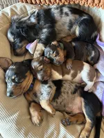 processed/e104c9ed-94aa-4555-a7c5-25993d27a584/facility/2e1484f2-006a-4c3a-a9ec-86b1d4c3755b