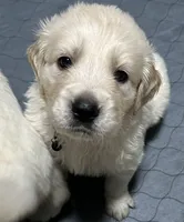 processed/e106124c-f424-4e19-8aab-b8c93ab111ab/facility/08c02cf7-4ac4-4c7b-95bd-cb465f2cb438