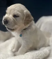 processed/e106124c-f424-4e19-8aab-b8c93ab111ab/facility/1beca85f-a790-4e06-b9a1-bdedcc402d61