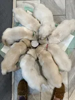 processed/e106124c-f424-4e19-8aab-b8c93ab111ab/facility/63bbcba6-0823-44fb-a747-feb02b0d3fcf