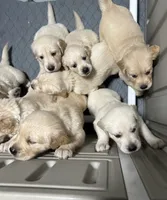 processed/e106124c-f424-4e19-8aab-b8c93ab111ab/facility/744276ef-5b4a-4215-90a9-84b396e3fca8