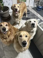 processed/e106124c-f424-4e19-8aab-b8c93ab111ab/facility/ad7ad6e5-2654-425c-b0b3-ed8dd29f8d04